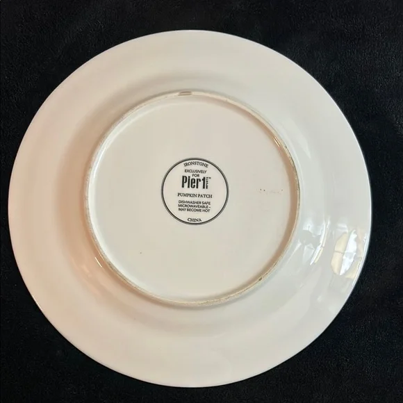 PIER 1  PUMPKIN PATCH SQUASH PLATE - Picture 6 of 11